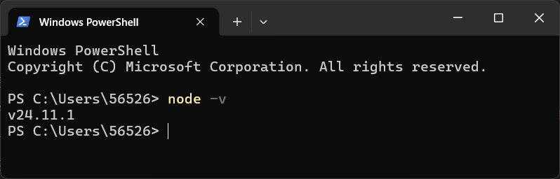 Show the local Node.js version