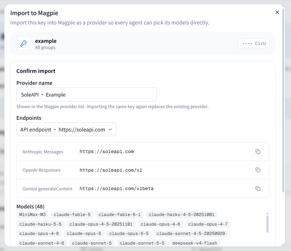 Key information, provider name, and the three protocol URLs in the Magpie import dialog