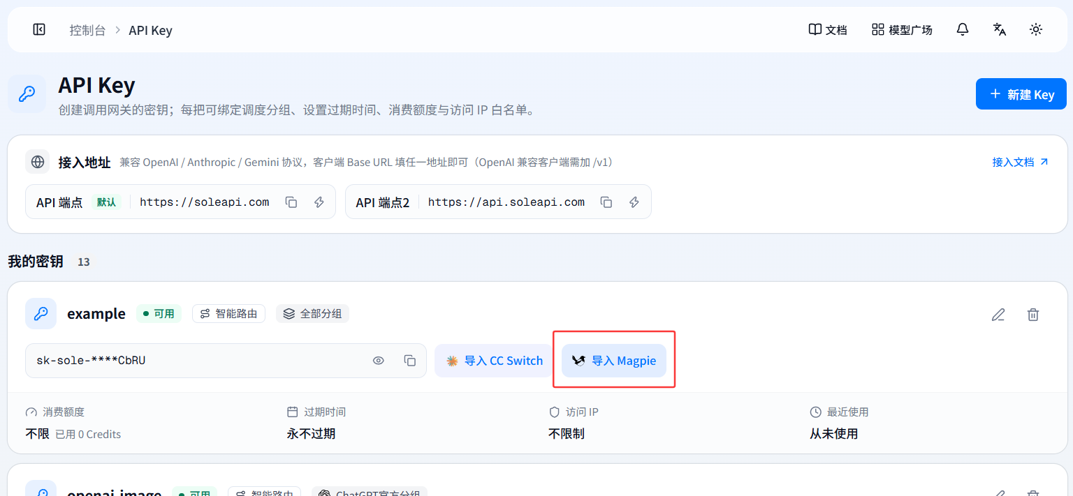 API Key 卡片中的「导入 Magpie」入口